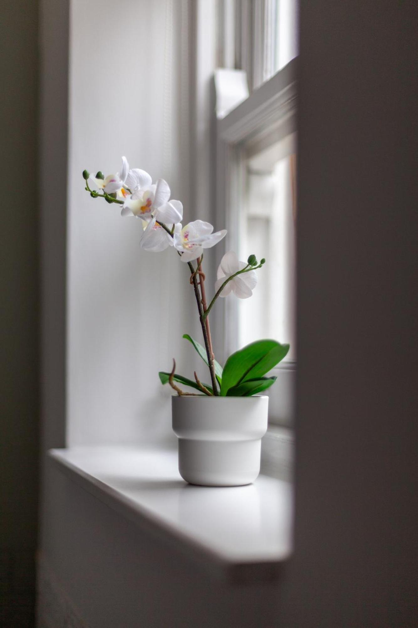 شقة The Hackney Luxury Flat لندن المظهر الخارجي الصورة